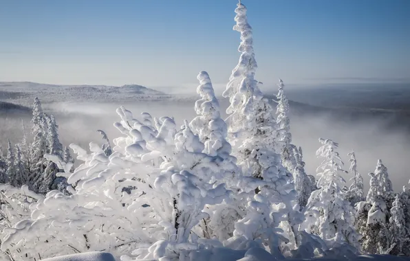 Winter, frost, forest, the sky, light, snow, trees, mountains
