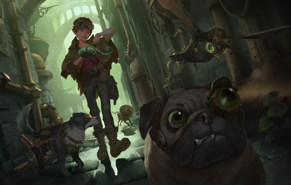 Animals, bird, dog, boy, lane, Legends of Runeterra