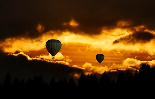 Night, balloon, the way, ball, Forest, pine, night, ball