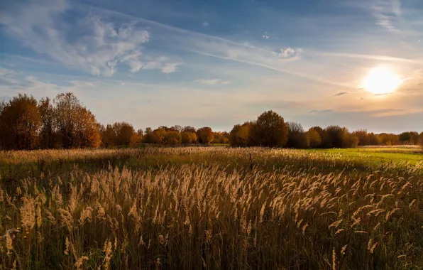 Picture field, autumn, the sky, the sun, light, landscape, sunset, nature