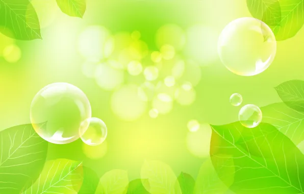 Leaves, light, ball, bubble