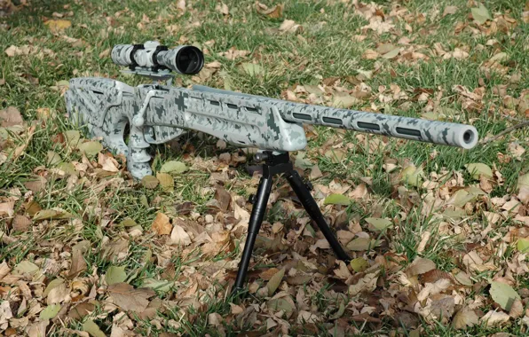 Picture grass, leaves, sight, rifle, sniper, optical, fry