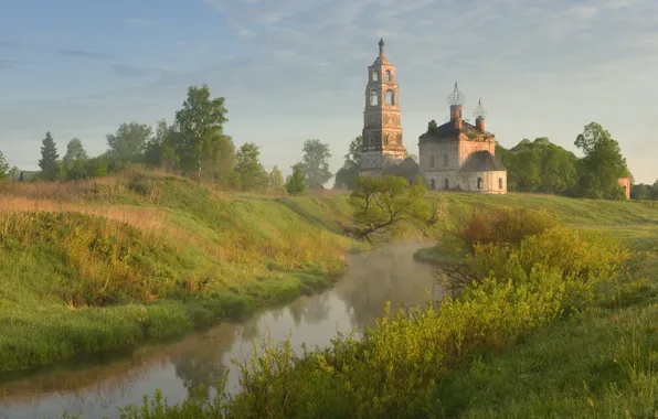 Greens, summer, the sky, grass, trees, fog, river, shore
