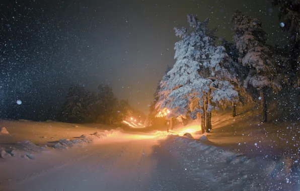 Picture winter, road, snow, night, tree, lighting, lights, snowfall