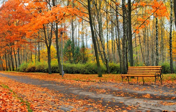 Autumn, leaves, trees, Park, landscape, nature, park, autumn