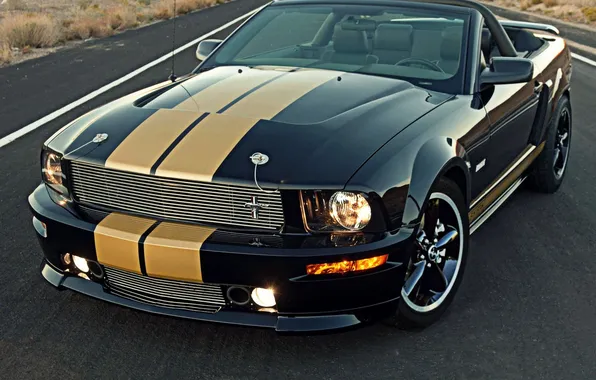 Car, black, car, ford, shelby, black, muscle, Ford