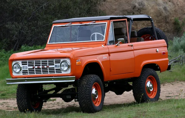 Picture Ford, SUV, 1966, Bronco, 2019, ICON Old School BR