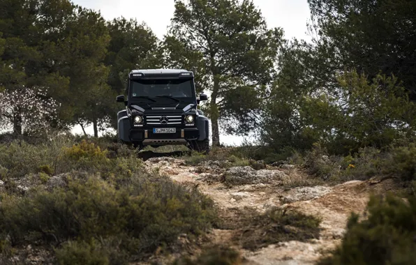 Picture grass, trees, stones, black, Mercedes-Benz, SUV, 4x4, G500