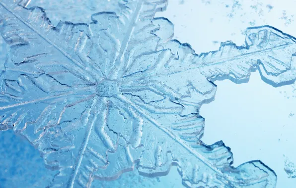 Ice, glass, crystal, macro, rendering, snowflake
