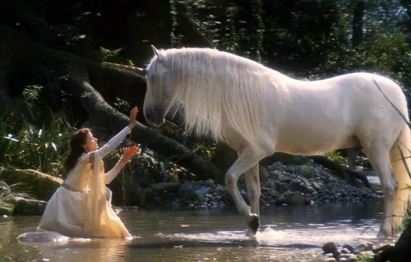 Picture fantasy, art, legend, unicorns