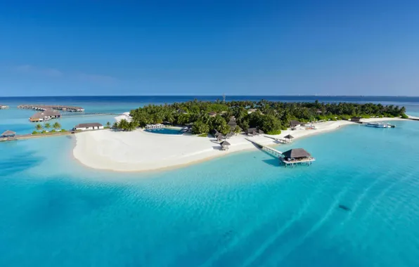 Palm trees, the ocean, island, The Maldives, resort, Laguna, Maldives, Velassaru