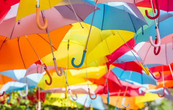 The city, street, umbrellas