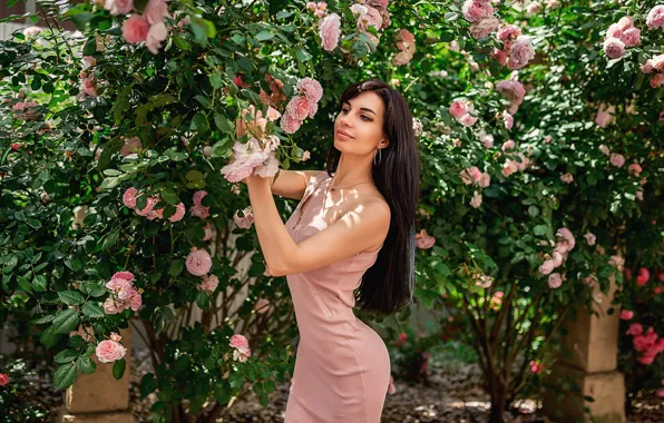 Picture dress, trees, brunette, A Diakov George