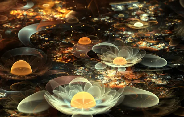 Flowers, abstraction, Lily, fractal, white, water lilies