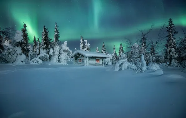 northern lights snow wallpaper