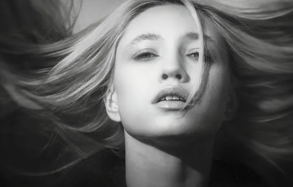 Hair, sponge, teeth, black and white photo