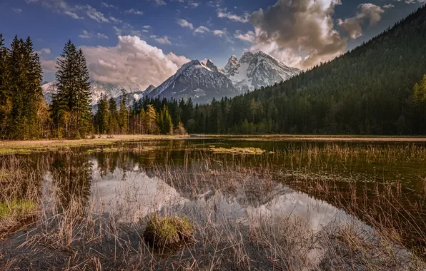 Forest, clouds, mountains, lake, reflection, shore, the slopes
