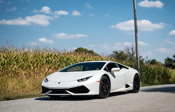 Picture Lamborghini, White, Huracan, Cornfield