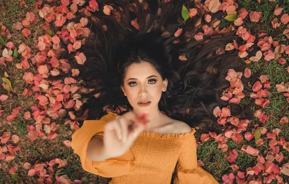 Picture grass, model, petals, brunette