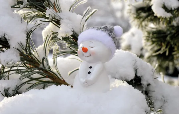 Winter, light, snow, branches, nature, pose, smile, toy