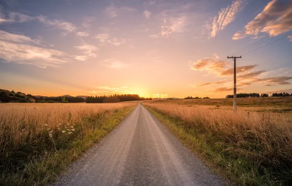 Road, field, autumn, power lines