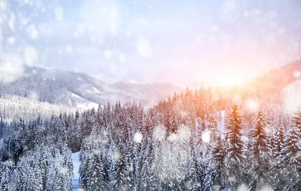 Winter, snow, trees, landscape, mountains, nature