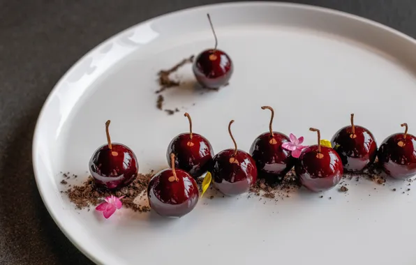 Cherry, berries, chocolate, plate, flowers, cherry, fondue, chocolate chips
