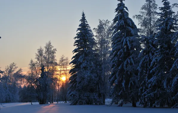 Picture cold, winter, forest, dawn, Ust ' -Kut