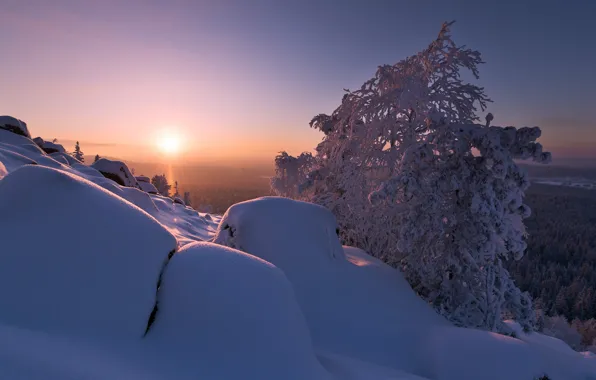 Winter, frost, forest, the sky, the sun, rays, snow, trees