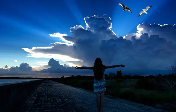 The sky, freedom, girl, birds, mood