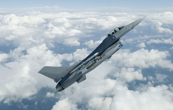 Picture fighter, F-16, Fighting Falcon, multipurpose, "Fighting Falcon"