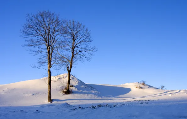 Winter, the sky, snow, trees, nature, hills, Wallpaper