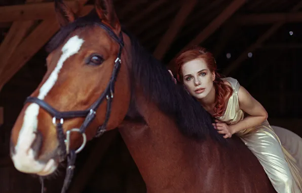 Picture look, girl, horse, horse, red, redhead