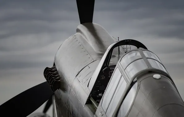 Fighter, cabin, propeller