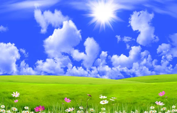 Picture the sky, grass, the sun, clouds, rays, flowers, collage, meadow