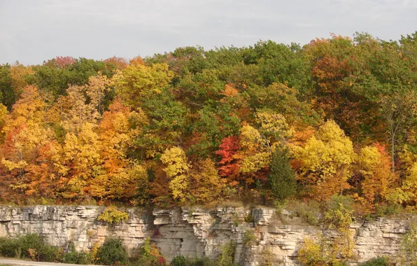 Picture trees, rocks, colors, Autumn, trees, autumn, fall