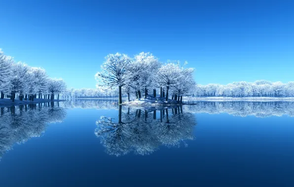 Picture winter, snow, trees, lake, reflection, Nature