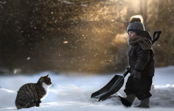 Cat, snow, shovel, child
