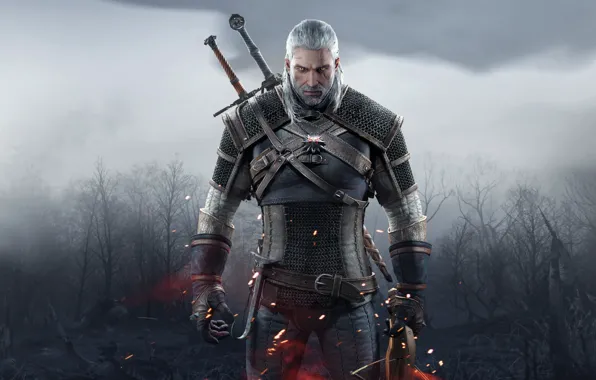 Picture Look, Sword, Warrior, Beard, Armor, The Witcher, The Witcher, Geralt