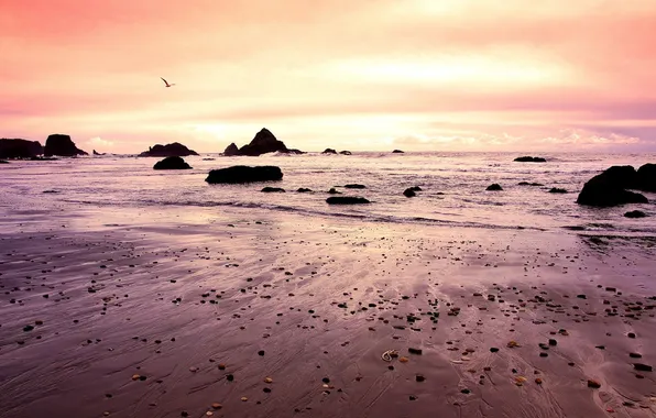 Sunset, nature, the ocean, coast