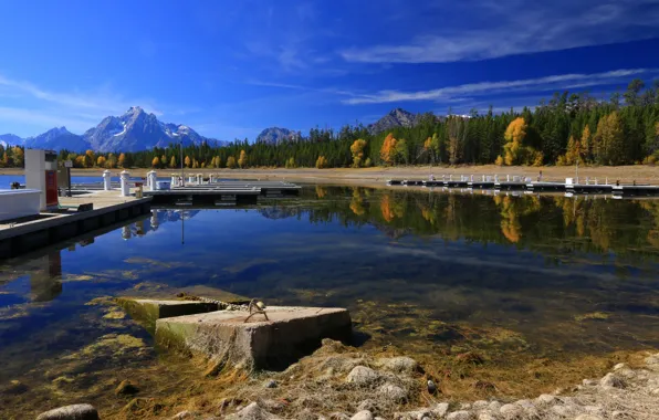 Autumn, trees, mountains, nature, lake, Wyoming, USA, Grand Teton National Park