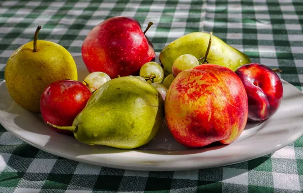 Table, apples, plate, fruit, pear, tablecloth