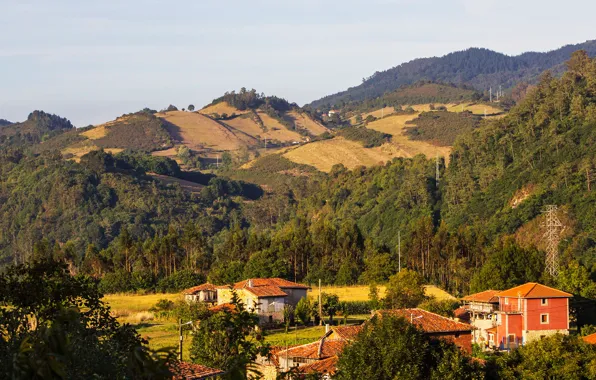 Forest, the sky, the sun, trees, mountains, field, houses, Spain