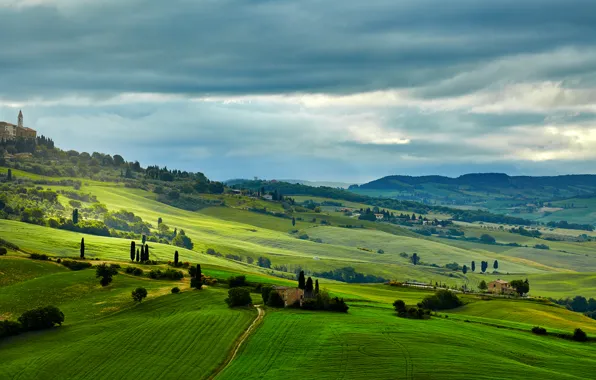 Picture greens, trees, field, Italy, houses, meadows, Tuscany