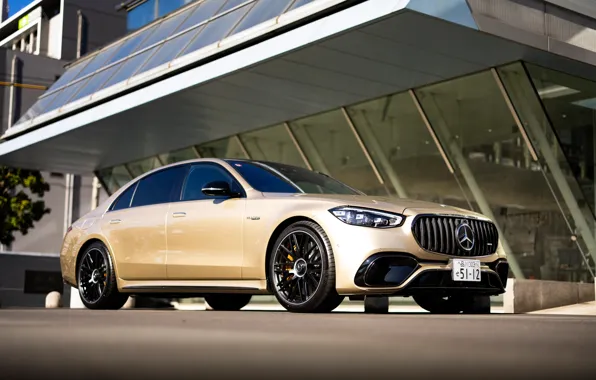 Mercedes-Benz, Mercedes, AMG, luxury, S-Class, S-Class, Mercedes-AMG, Mercedes-AMG S 63 E Performance