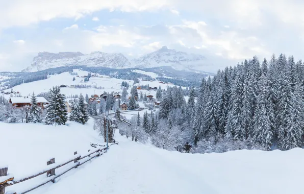 Winter, snow, trees, landscape, mountains, tree, forest, landscape