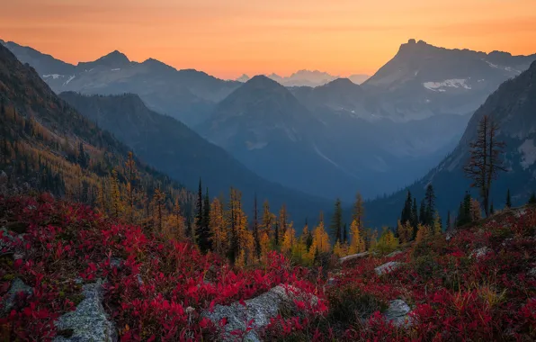 Autumn, forest, the sky, trees, sunset, mountains, stones, rocks