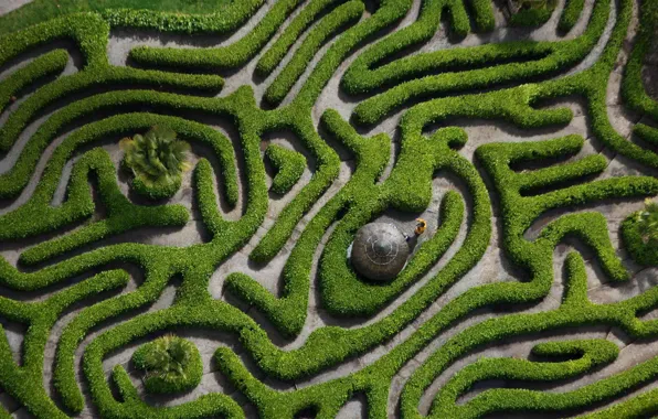 England, maze, the Laurel drug