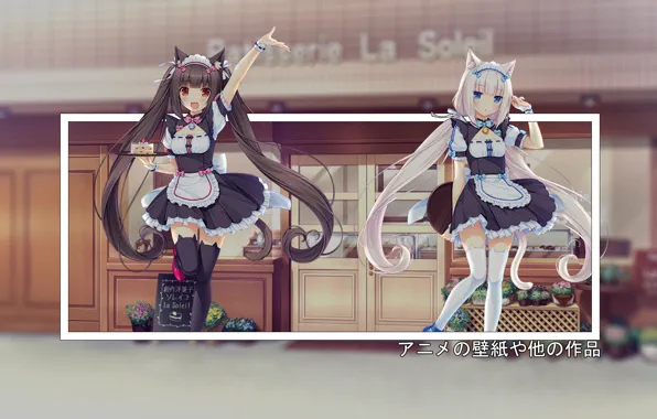 Nothing, anime, nekopara, madskillz