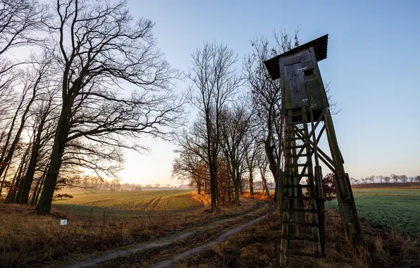 Road, morning, tower